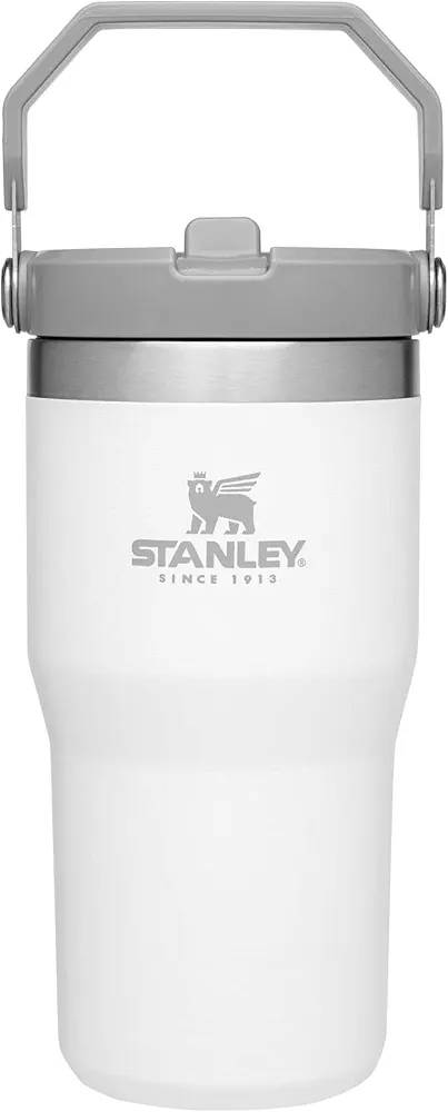 Stanley IceFlow Stainless Steel Tumbler with Straw - Vacuum Insulated Water Bottle for Home, Office or Car - Reusable Cup with Straw Leak Resistant Flip - Cold for 12 Hours or Iced for 2 Days (Polar)